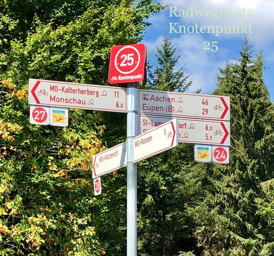 Hof Vierzehnender Im Hohen Venn - 70Qm Fachwerk-Studio - Grosses Wohn-Schlafzimmer Mit Dachterrasse Und Kaminofen - Separate Kueche - Perfekt Fuer Paare - Monschau - Eifel - Hunde Willkommen - Islandpferde Экстерьер фото
