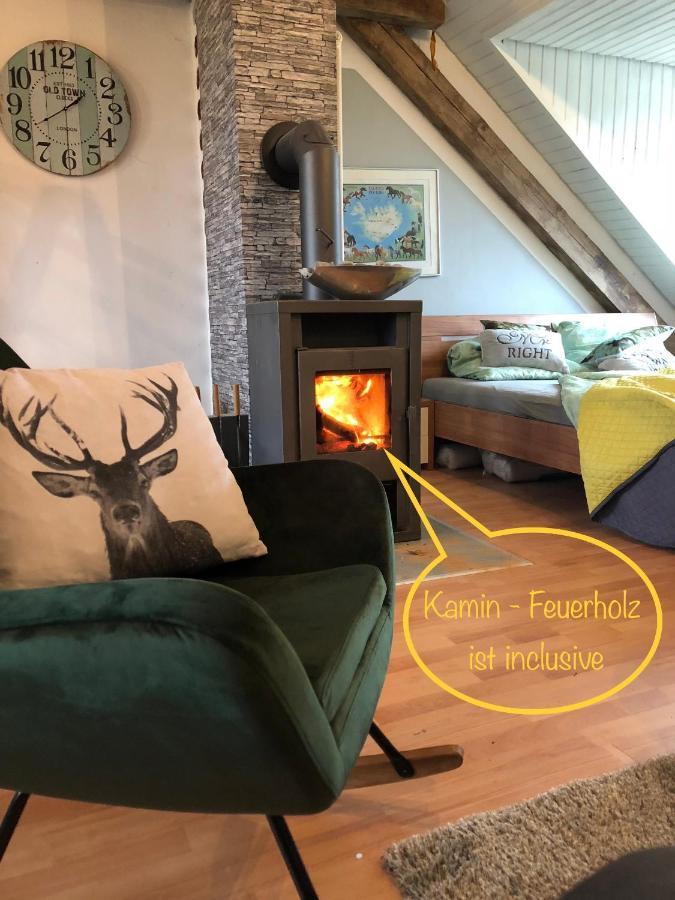 Hof Vierzehnender Im Hohen Venn - 70Qm Fachwerk-Studio - Grosses Wohn-Schlafzimmer Mit Dachterrasse Und Kaminofen - Separate Kueche - Perfekt Fuer Paare - Monschau - Eifel - Hunde Willkommen - Islandpferde Экстерьер фото