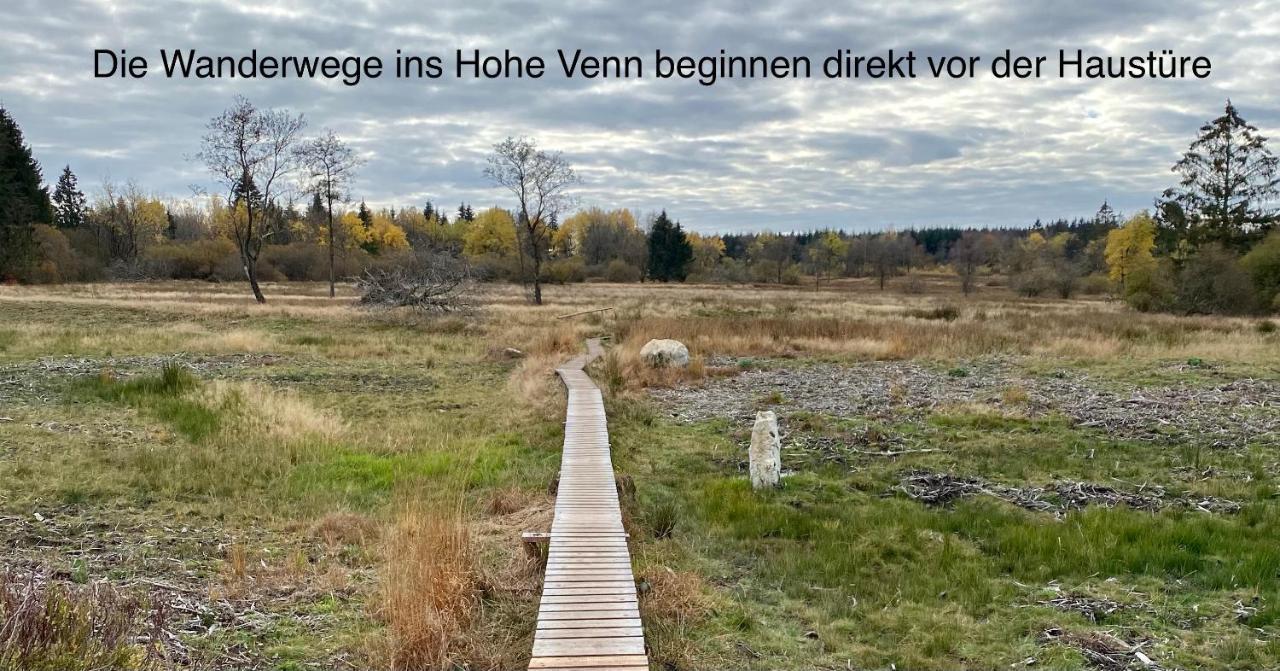 Hof Vierzehnender Im Hohen Venn - 70Qm Fachwerk-Studio - Grosses Wohn-Schlafzimmer Mit Dachterrasse Und Kaminofen - Separate Kueche - Perfekt Fuer Paare - Monschau - Eifel - Hunde Willkommen - Islandpferde Экстерьер фото