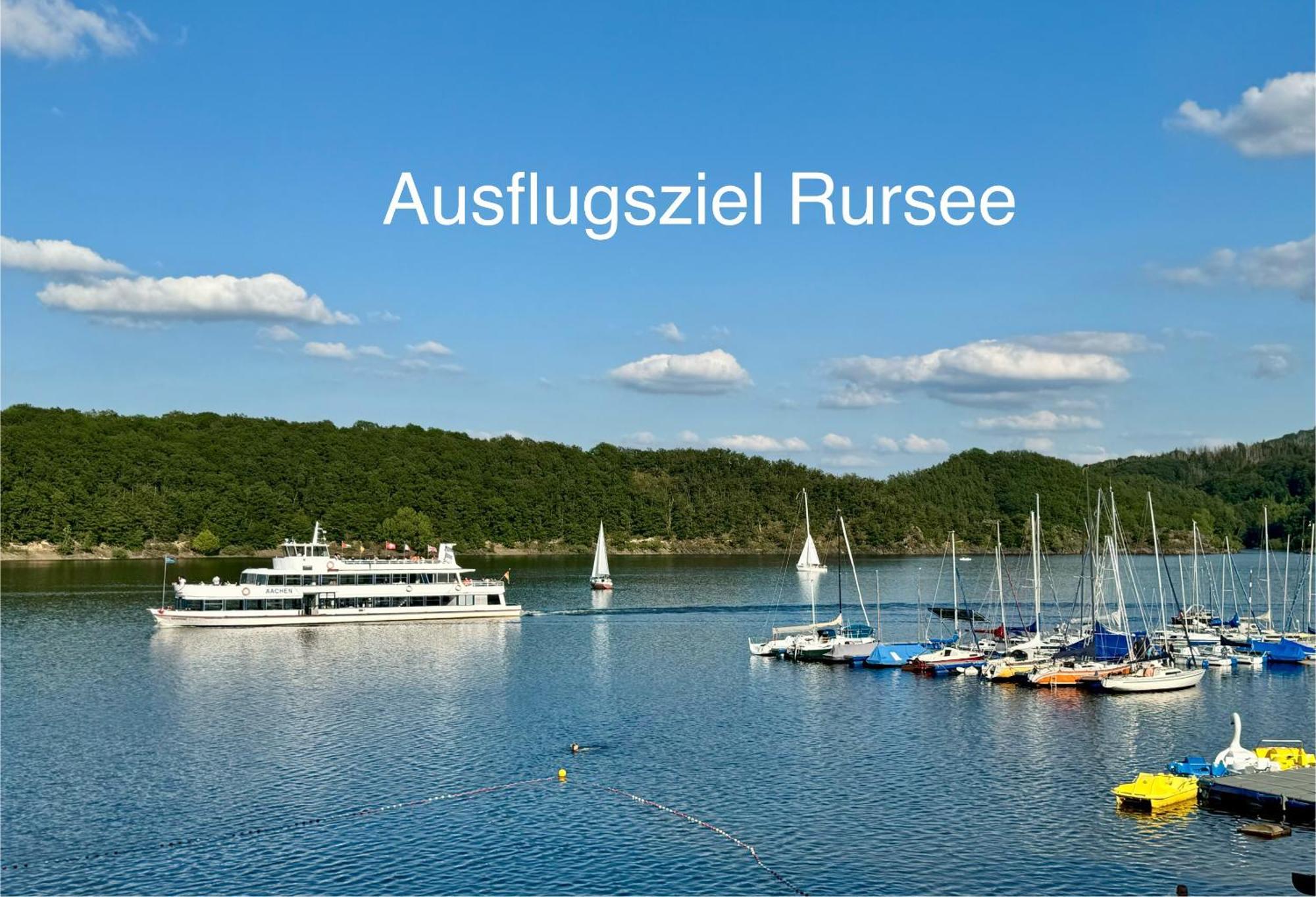 Hof Vierzehnender Im Hohen Venn - 70Qm Fachwerk-Studio - Grosses Wohn-Schlafzimmer Mit Dachterrasse Und Kaminofen - Separate Kueche - Perfekt Fuer Paare - Monschau - Eifel - Hunde Willkommen - Islandpferde Экстерьер фото