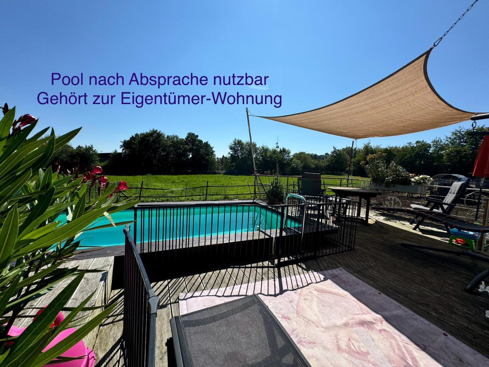 Hof Vierzehnender Im Hohen Venn - 70Qm Fachwerk-Studio - Grosses Wohn-Schlafzimmer Mit Dachterrasse Und Kaminofen - Separate Kueche - Perfekt Fuer Paare - Monschau - Eifel - Hunde Willkommen - Islandpferde Экстерьер фото