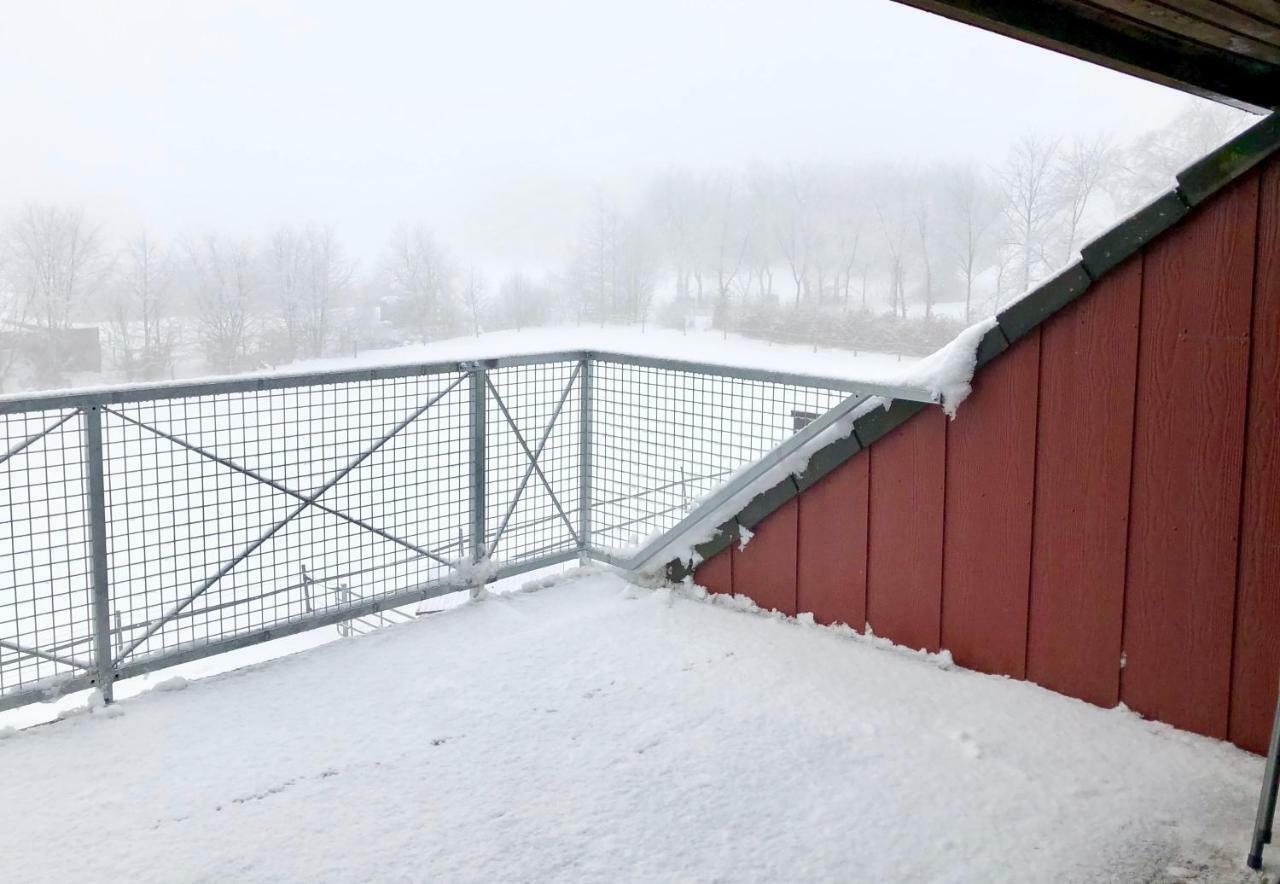 Hof Vierzehnender Im Hohen Venn - 70Qm Fachwerk-Studio - Grosses Wohn-Schlafzimmer Mit Dachterrasse Und Kaminofen - Separate Kueche - Perfekt Fuer Paare - Monschau - Eifel - Hunde Willkommen - Islandpferde Экстерьер фото